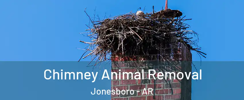  Chimney Animal Removal Jonesboro - AR