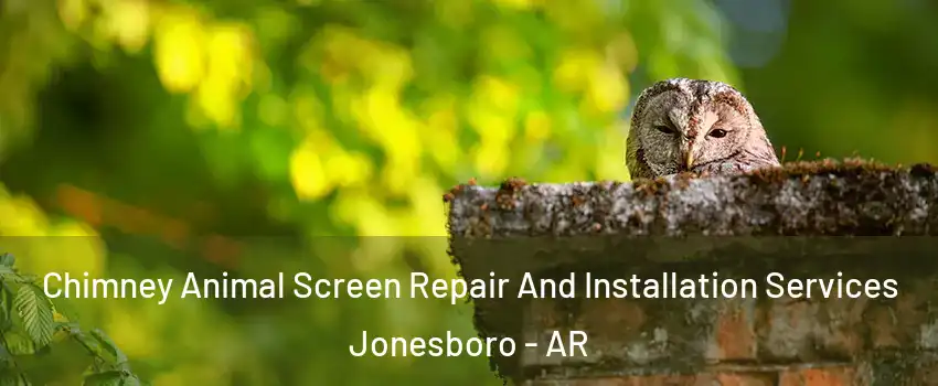  Chimney Animal Screen Repair And Installation Services Jonesboro - AR